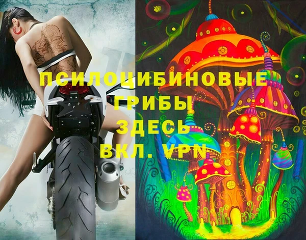 дмт Нягань
