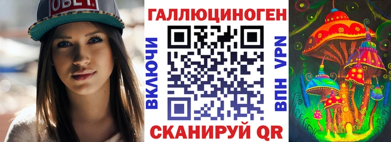kraken сайт Любим Галлюциногенные грибы Psilocybe